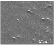 采用 SEM 所进行的偏光膜表面观测实例