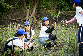 保护泰国红树林的活动