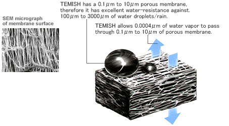 temish_about_img_structure_txt