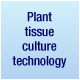 植物组织培养技术