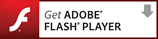 安装 Adobe Flash Player